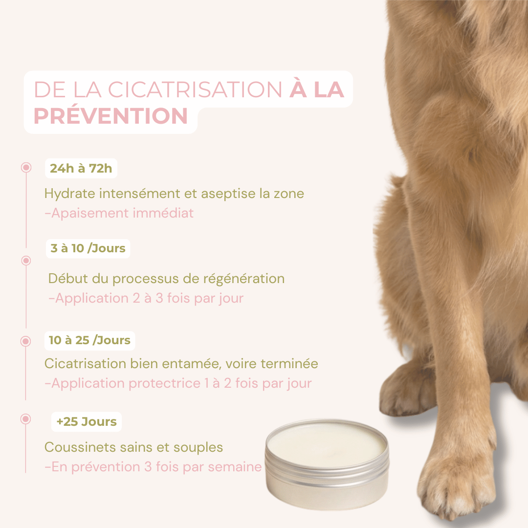 Baume Protecteur et Réparateur pour coussinets