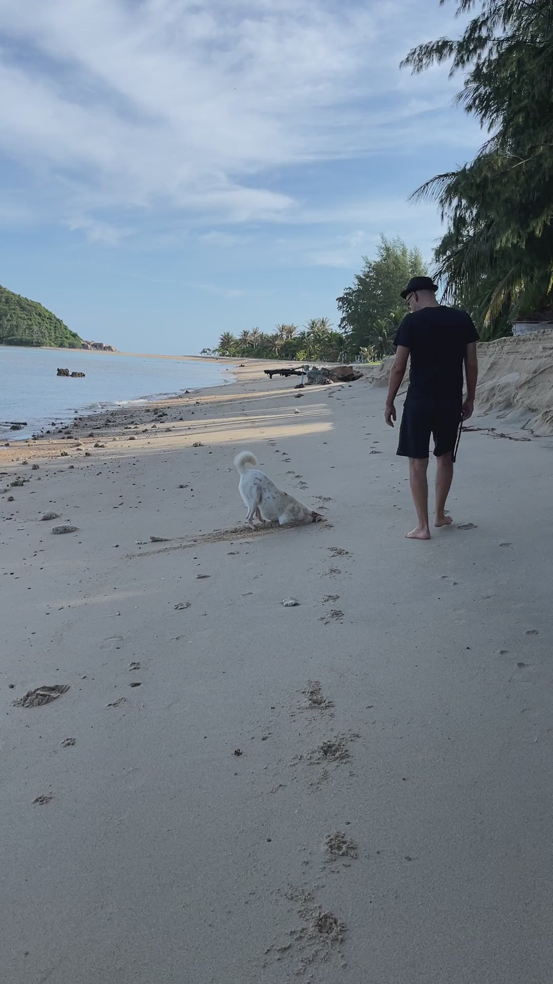 Vidéo